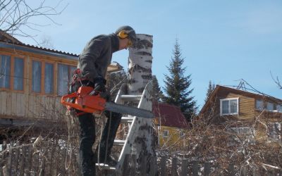 Профессиональный спил старых деревьев - Красноярск, цены, предложения специалистов