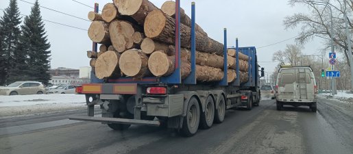 Поиск транспорта для перевозки леса, бревен и кругляка стоимость услуг и где заказать - Красноярск